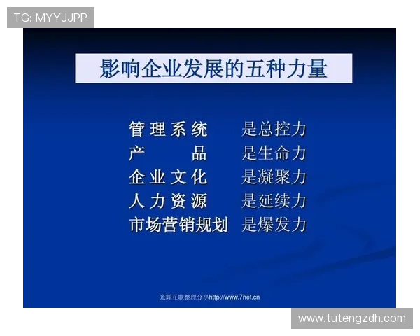 探讨企业家是否属于正式职业及其在现代经济社会中的角色定位意义